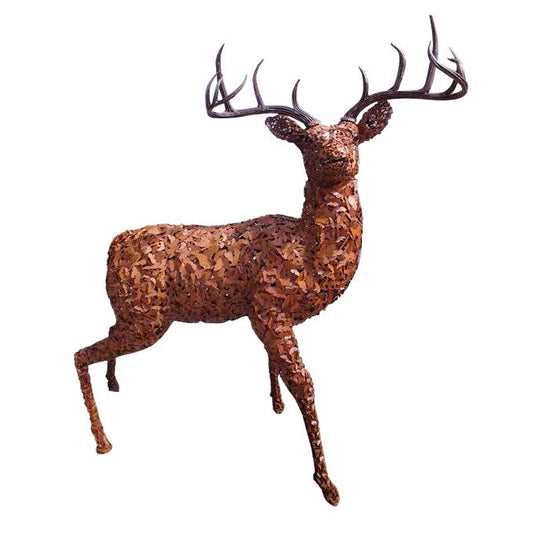 [Pre-order] Flying Butterfly Buck - Limited Edition